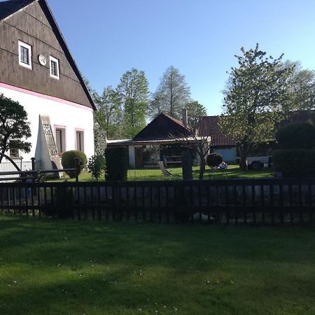 Apartman Ve Mlejne Nová Bystřice Exterior foto