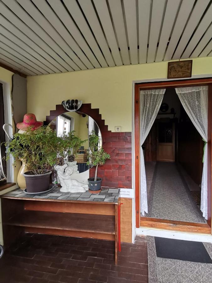 Apartman Ve Mlejne Nová Bystřice Exterior foto
