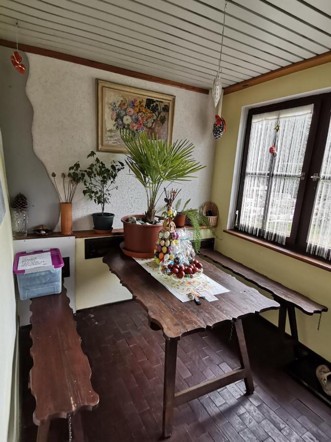 Apartman Ve Mlejne Nová Bystřice Exterior foto