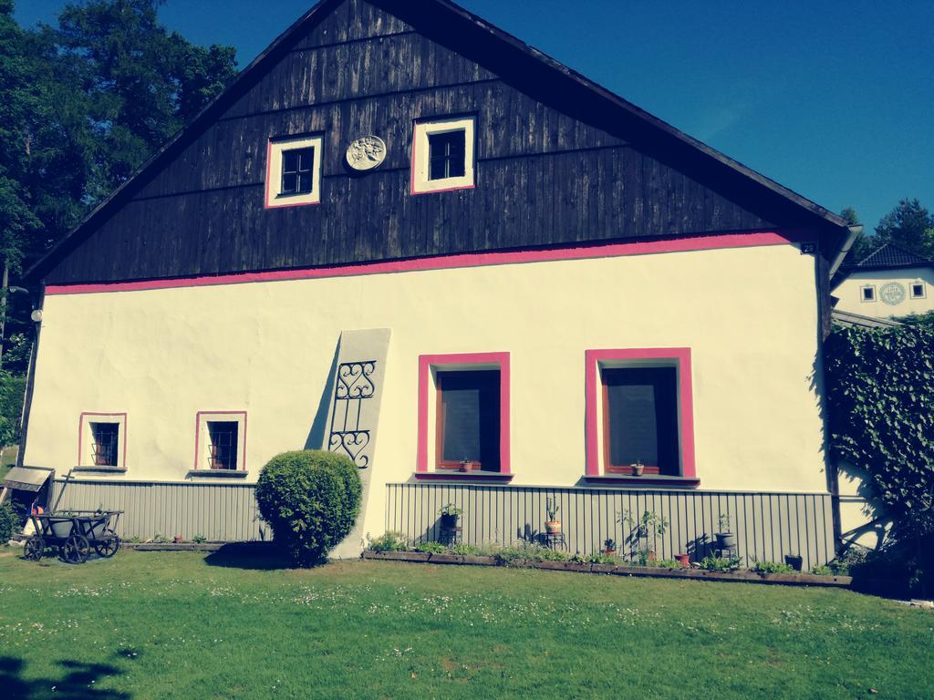 Apartman Ve Mlejne Nová Bystřice Exterior foto