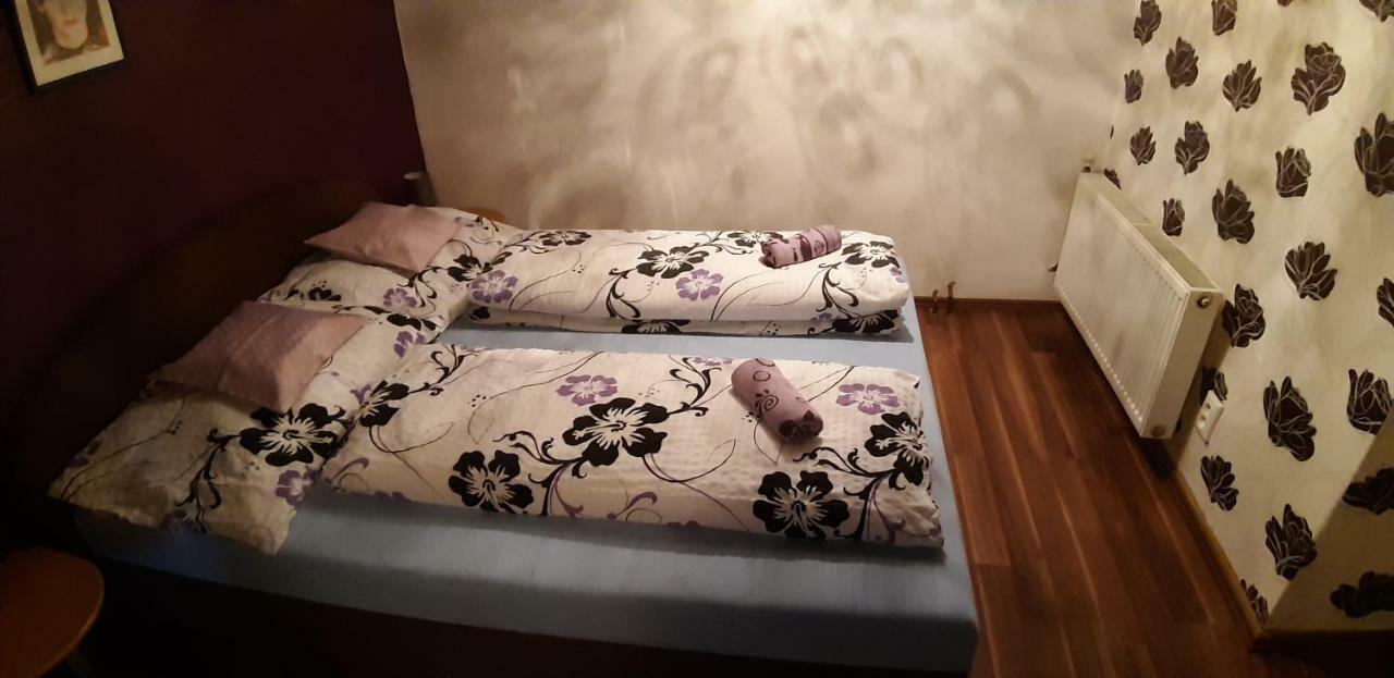 Apartman Ve Mlejne Nová Bystřice Exterior foto